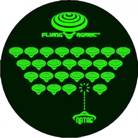 Flying Agaric 13 Flying Agaric 13