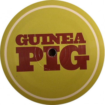Guinea Pig 004