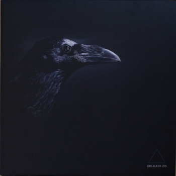 Obs.cur Black 01