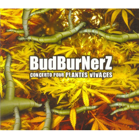 CD - Concerto Pour Plante Vivaces CD - Concerto Pour Plante Vivaces