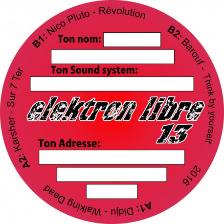 Elektron Libre 13 Elektron Libre 13