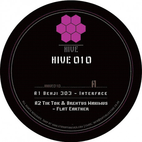 Hive 10 Hive 10