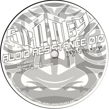 Audio Resistance 010