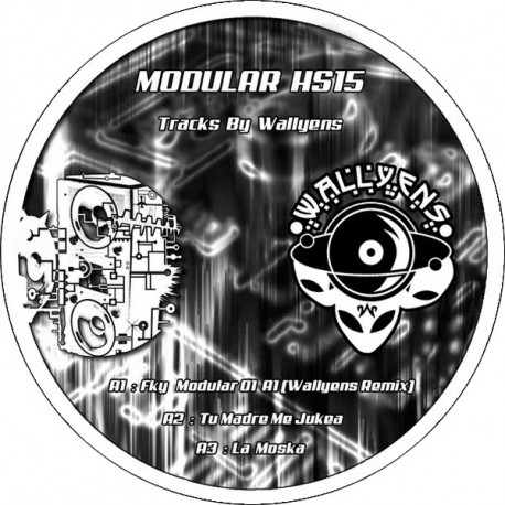 Modular HS 15 Modular HS 15