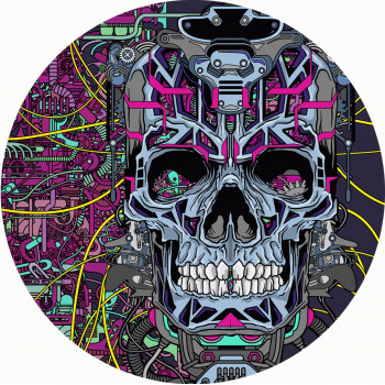 Acid Pirate 17