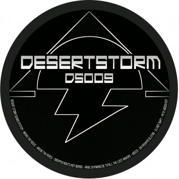 Desert Storm 09