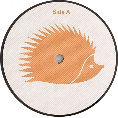 Hedgehog 003 Hedgehog 003