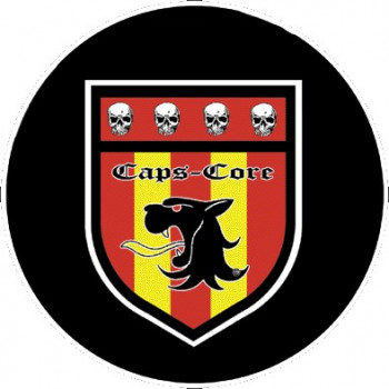 Capsule Core 004