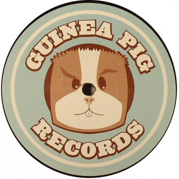 Guinea Pig 002