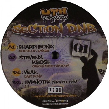 UTH section DNB 01